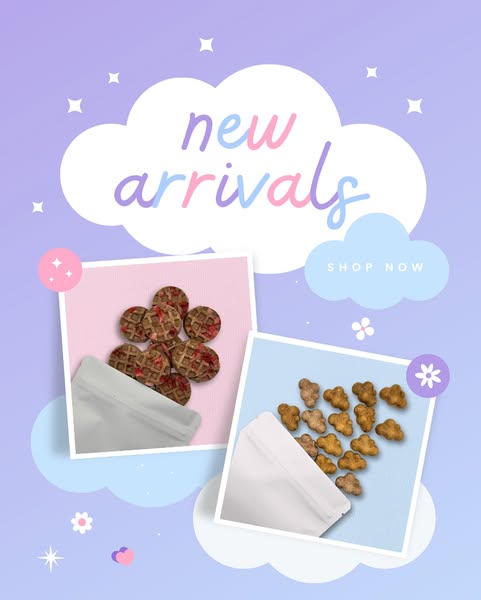 Shop for Pet Lovers