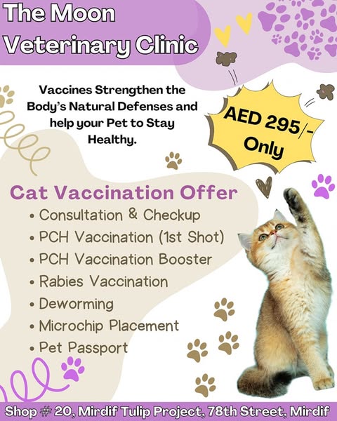 Shop for Pet Owners