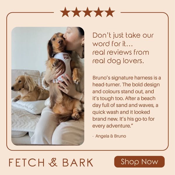 Shop for Pet Lovers