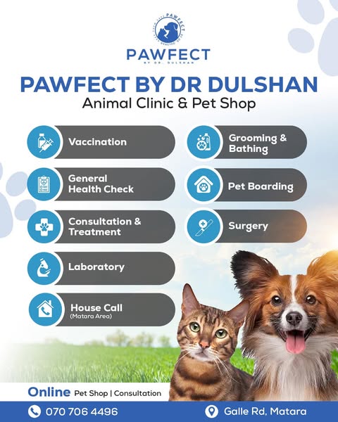 Shop Pets