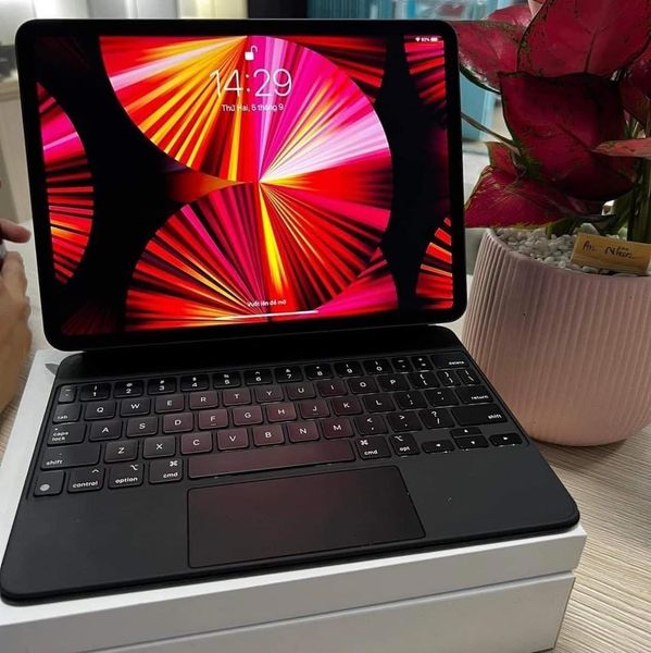 Apple iPad Mini