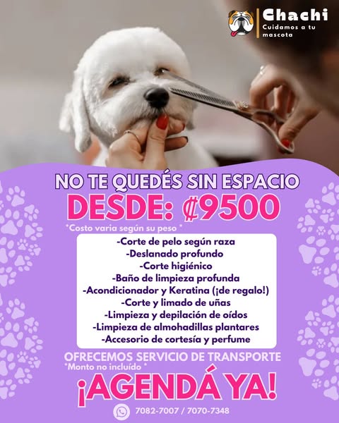 Shop for pet grooming