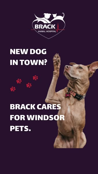 Brand-new out-of-town