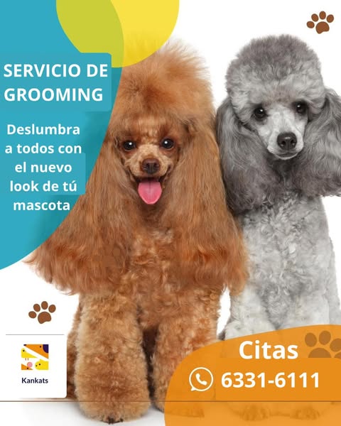 Shop for pet grooming