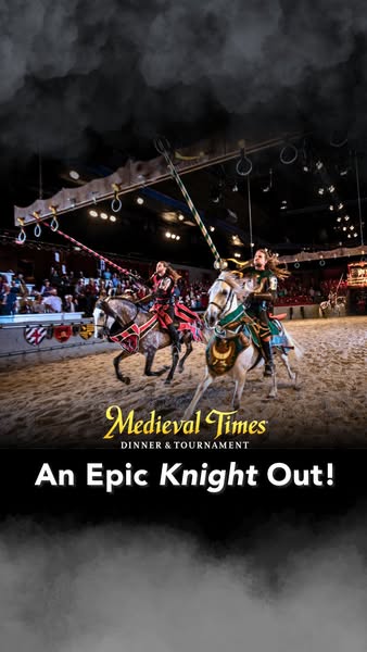 Medieval Knight