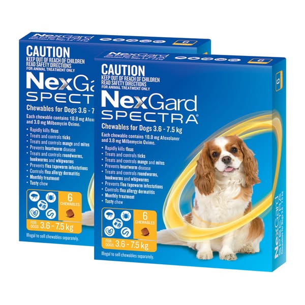 Shop for pets