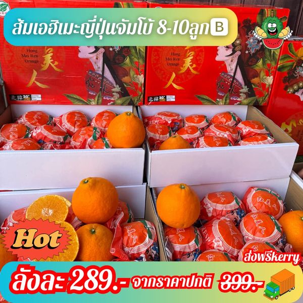 Fresh Oranges