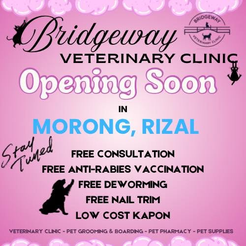 Shop for pet grooming