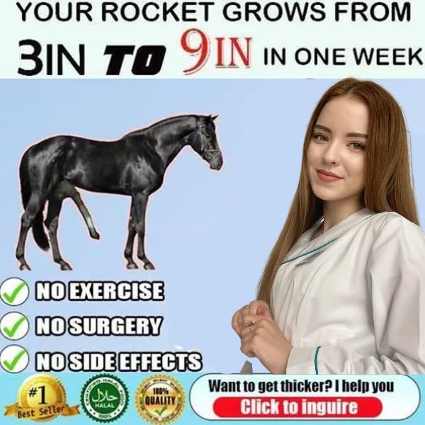 Quality rocket