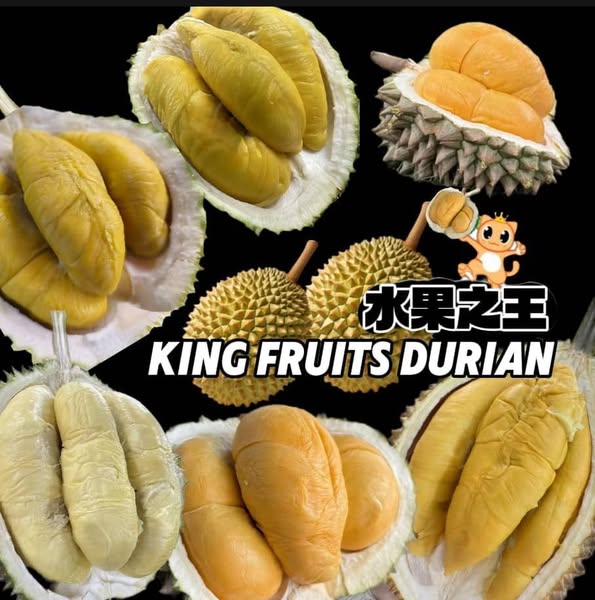 Affordable sultan