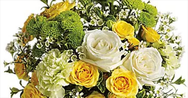 Fresh Flowers & Live Indoor Plants