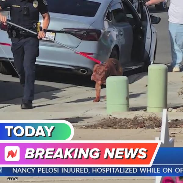CBS News