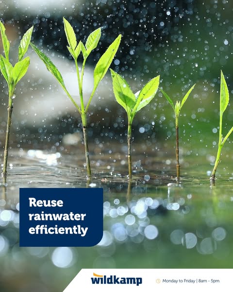 Practical rainwater