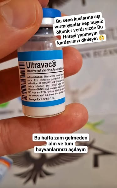 antibiotic
