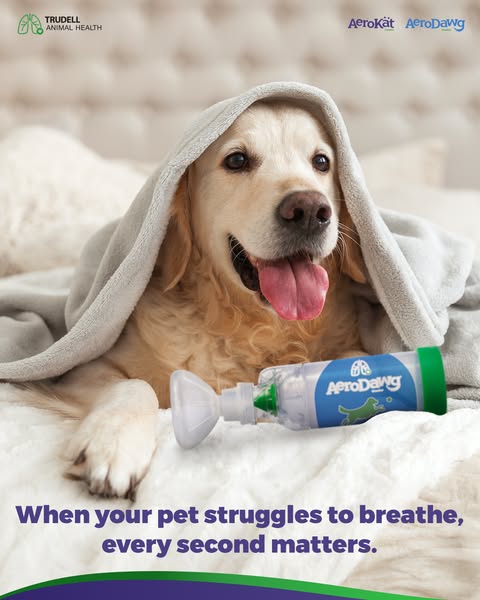 Shop for Pet Health