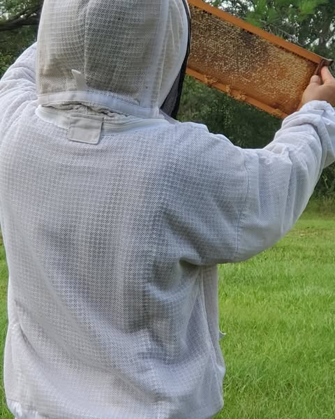 Quality slower
