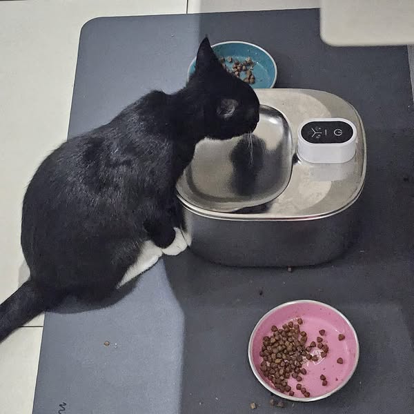 Stainless Steel Timer