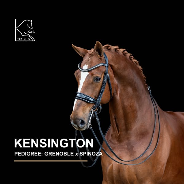 Gentle champion
