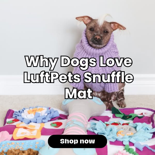 Shop for Pet Owners