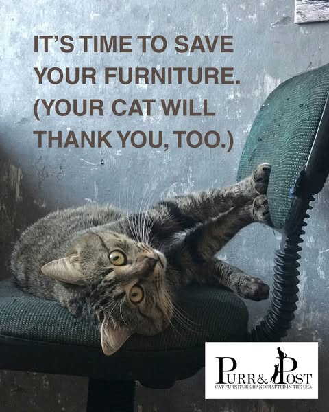 Shop for pet supplies