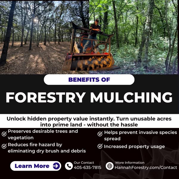 Fresh forestry