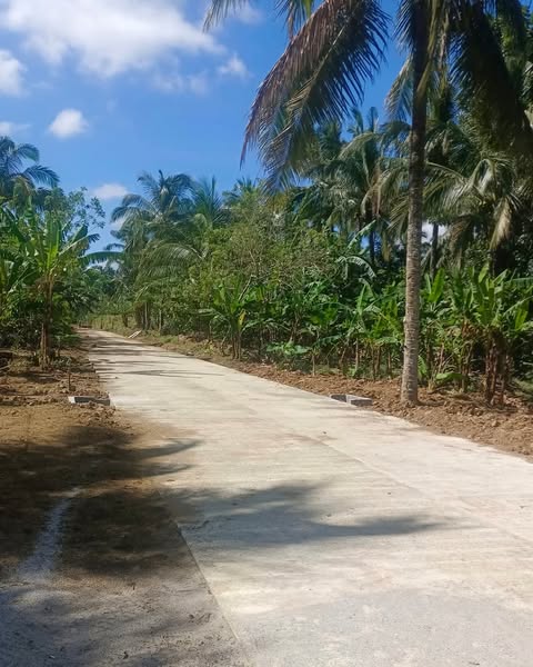 Ideal farm
