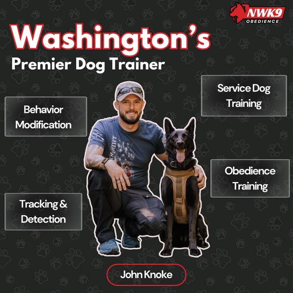 Reliable dog