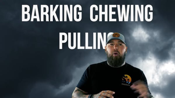 Exclusive chewing