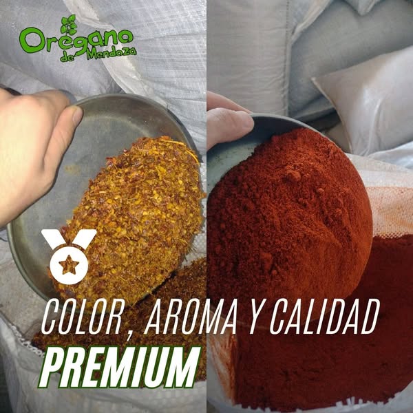 Premium oregano
