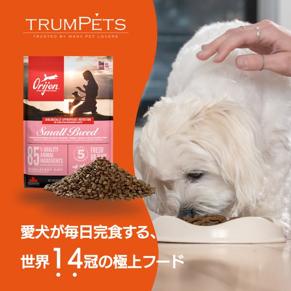 Shop Pets