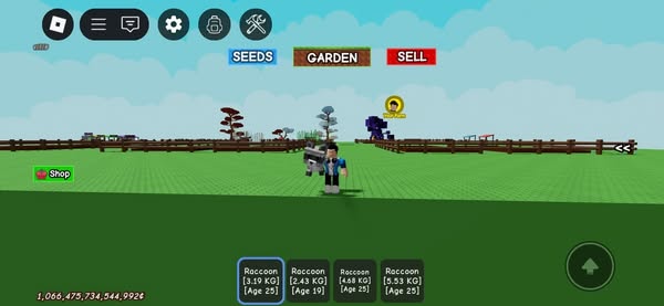 Shop Garden