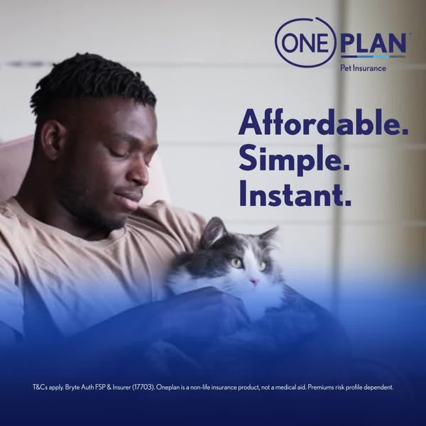 Affordable insurer