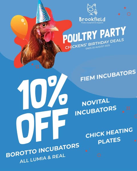 Shop for party supplies
