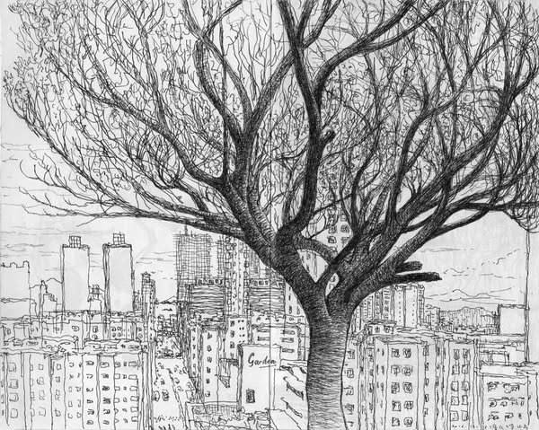 Sketchbook