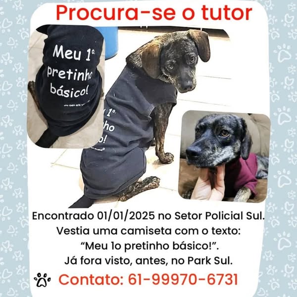 tutor