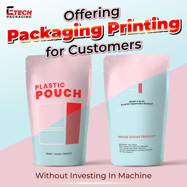 Flexible pouch