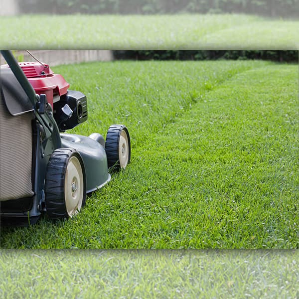 Exclusive gardening