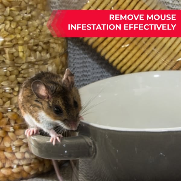 Effective mouse