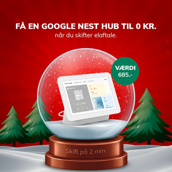 Google Nest Hub