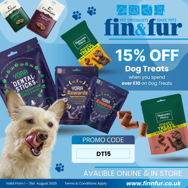 Online Store