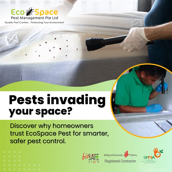 Eco-friendly inspection