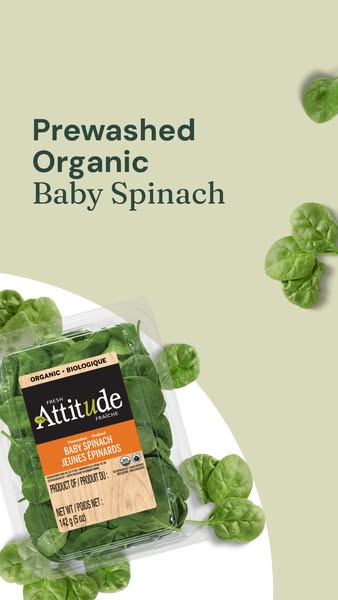Arugula