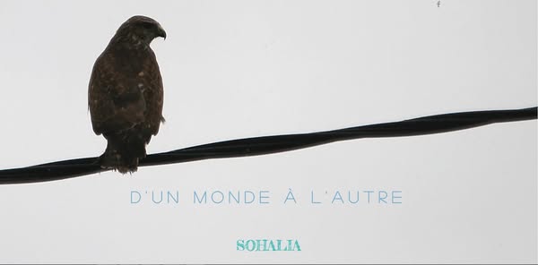 aptitude