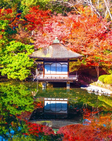 Autumn Leaves Light