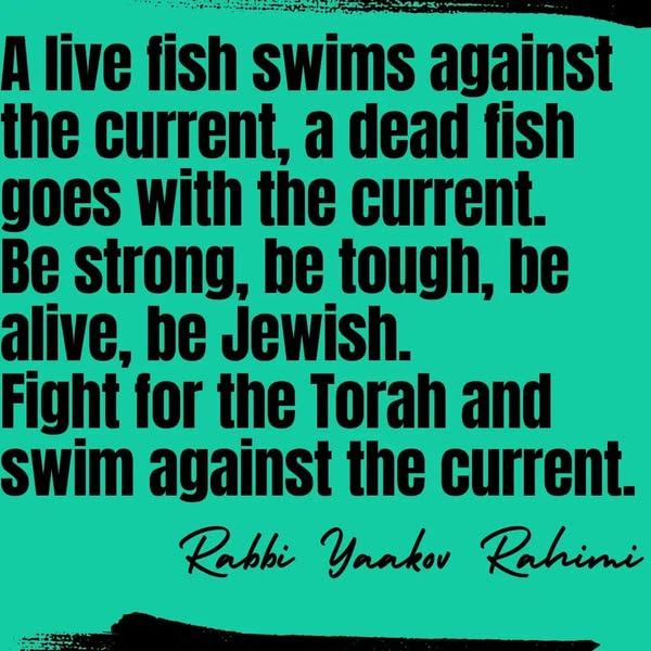 rabbi