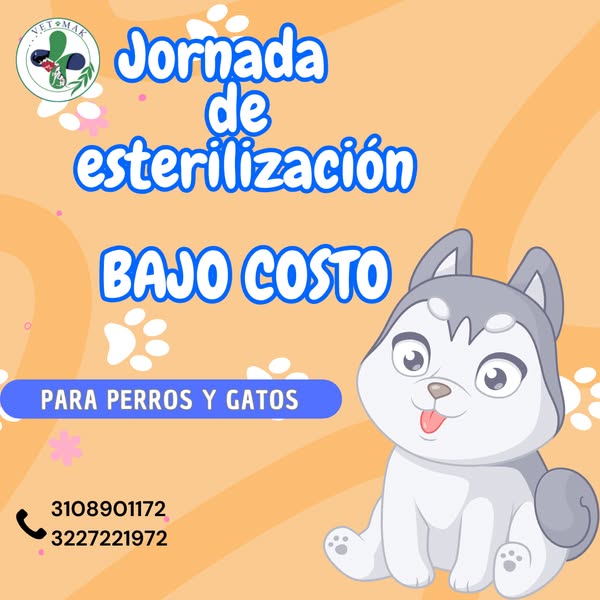 dwd.de