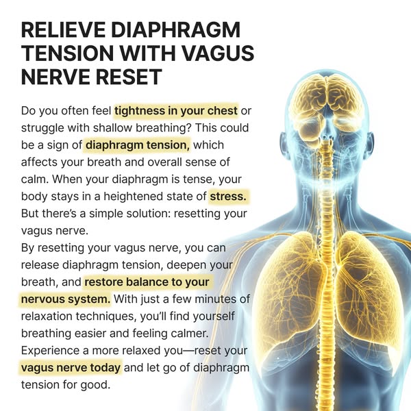 diaphragm