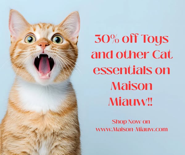 Shop for everyday essentials
