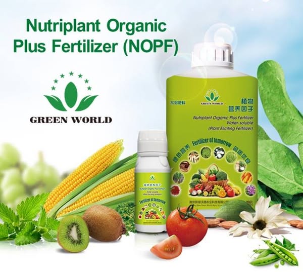 Eco-friendly packaging solutions