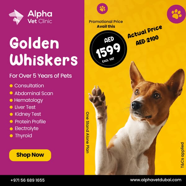 Shop Pets